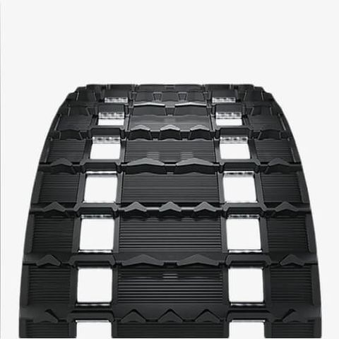 гусеница рысь